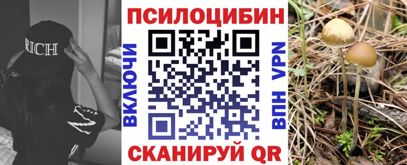 Купить закладки  Клинцы  Галлюциногенные грибы Cubensis 